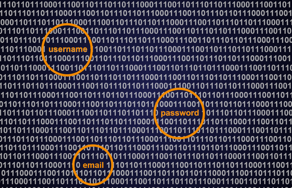 Binary code with key call outs, email, password user name.